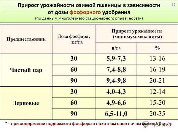 Урожайность и качество зерна озимой пшеницы в зависимости от доз минеральных удобрений на каштановых почвах юга России