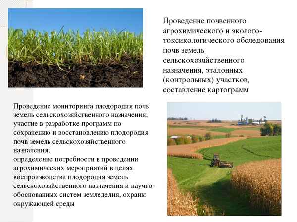 Агроэкологическая оценка и приемы выращивания некоторых рекультивационных трав в Северном Зауралье