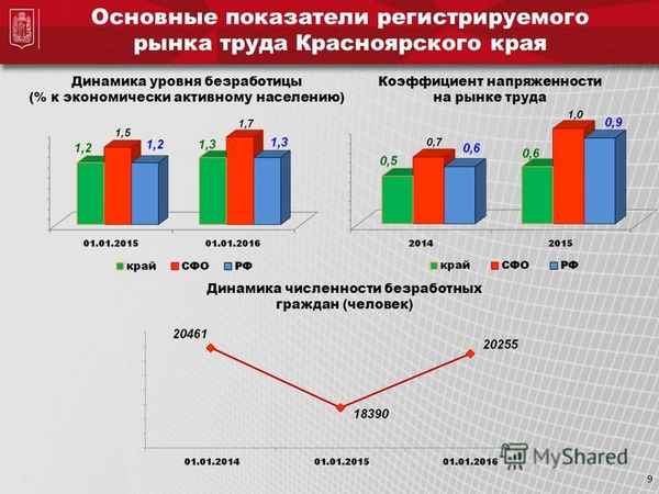Анализ параметров молодежной безработицы в Красноярском крае