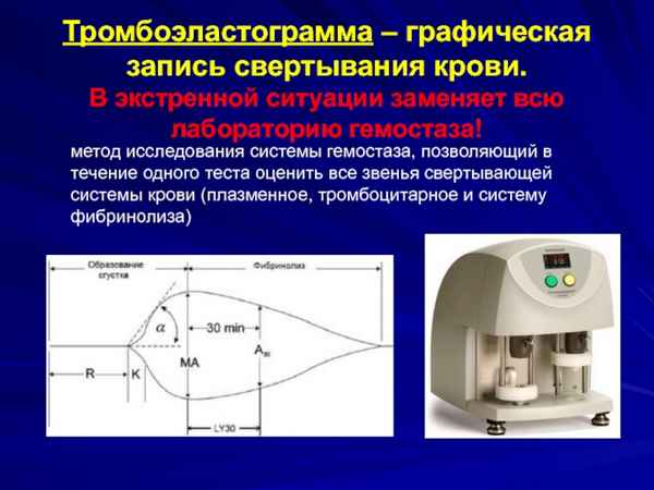 Исследование роли эритроцитов в физиологии гемостаза методом дифференцированной электрокоагулографии