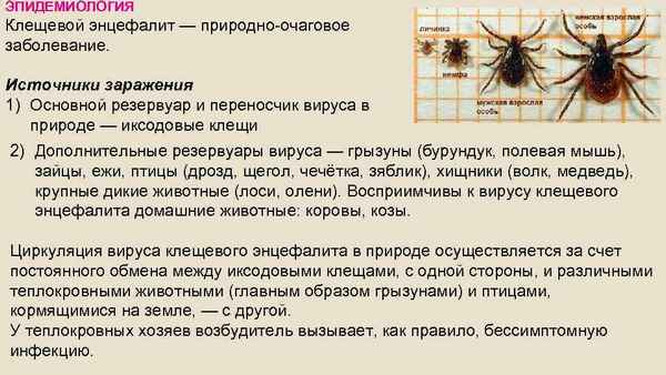 Особенности изменения фауны иксодовых клещей (Ixodidae), переносчиков возбудителей природноочаговых инфекций на территории Саратовской области