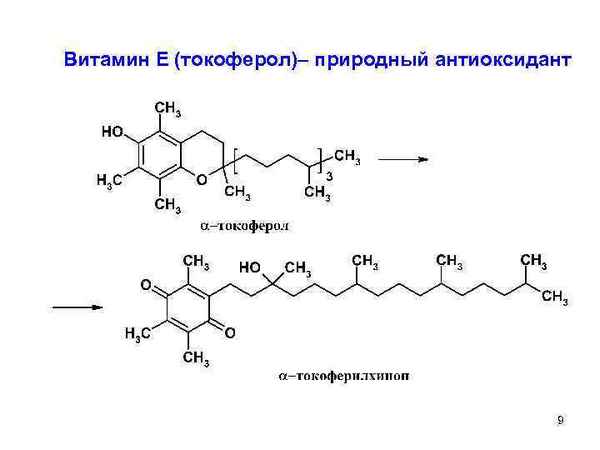 Моделирование кинетики совместного антиоксидантного действия токоферола, убихинола и токоферолгидрохинона 
