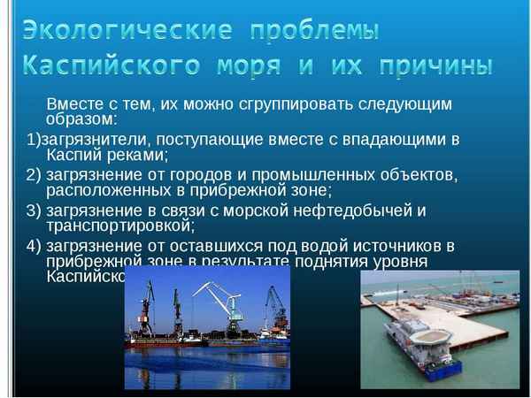Эколого-экономические проблемы сохранения водных биоресурсов Каспийского моря
